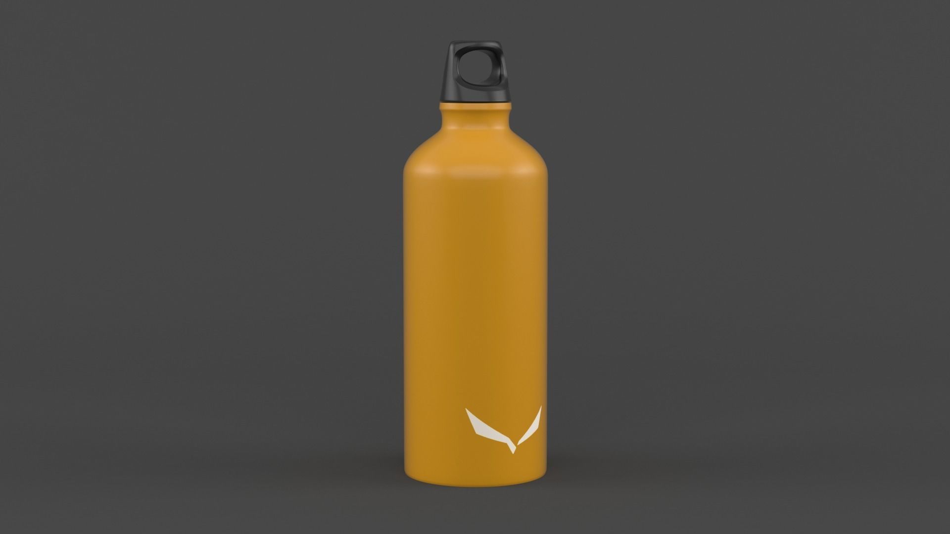 Water Bottle 3D model_2
