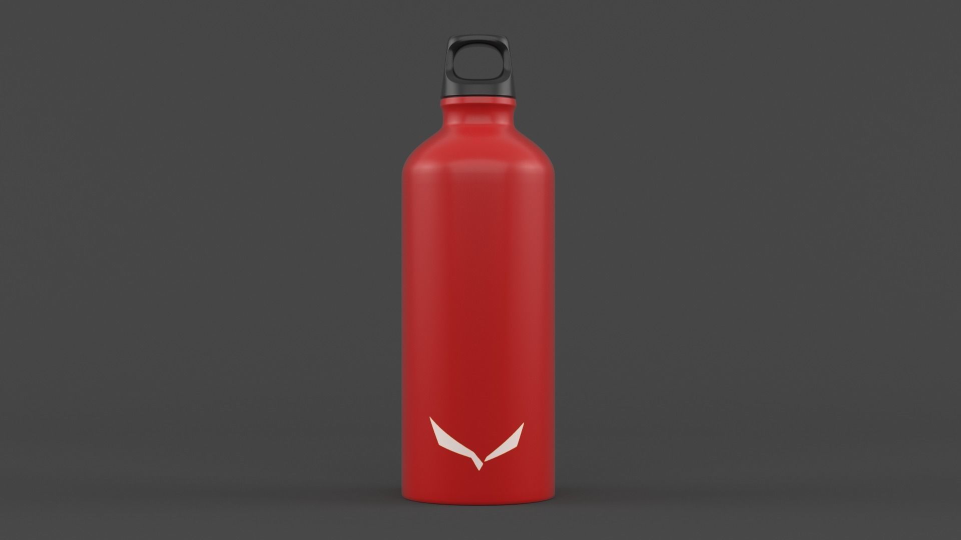 Water Bottle 3D model_3