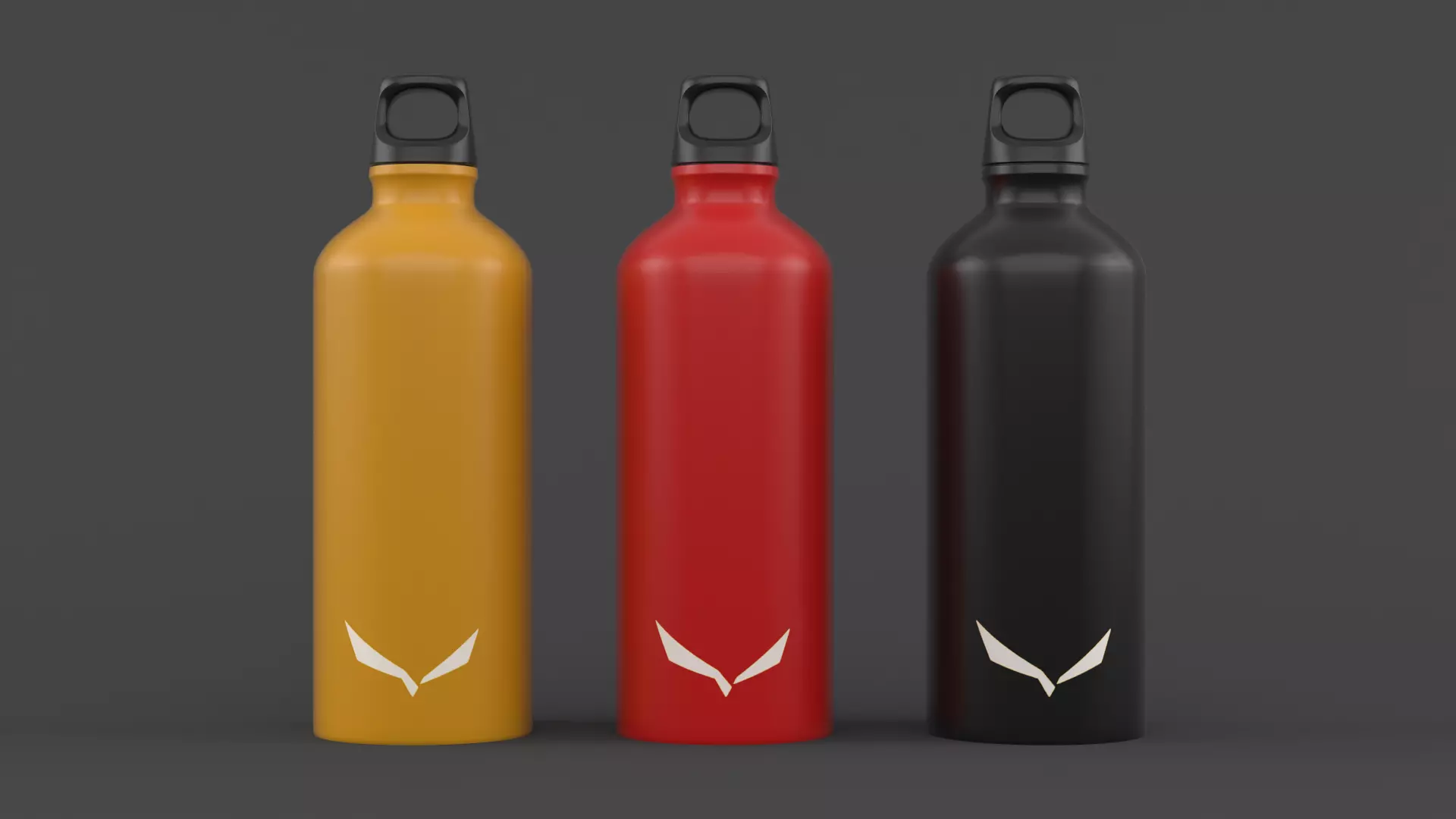 Water Bottle 3D model_0