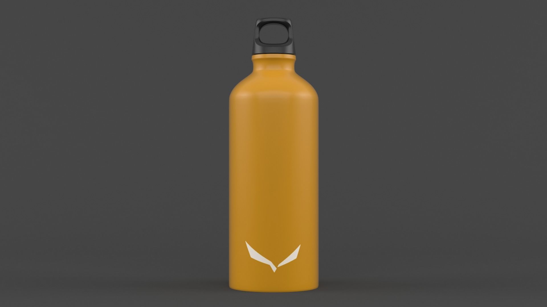 Water Bottle 3D model_1