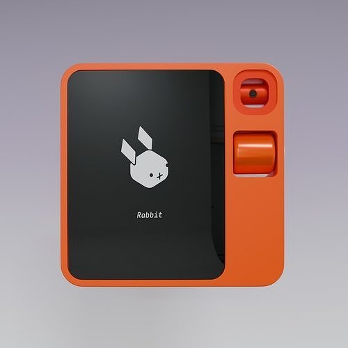 3D Model of Rabbit R1 3D model