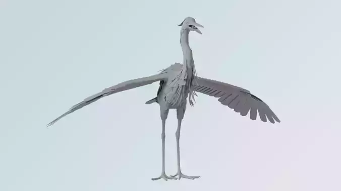 Heron 3D model