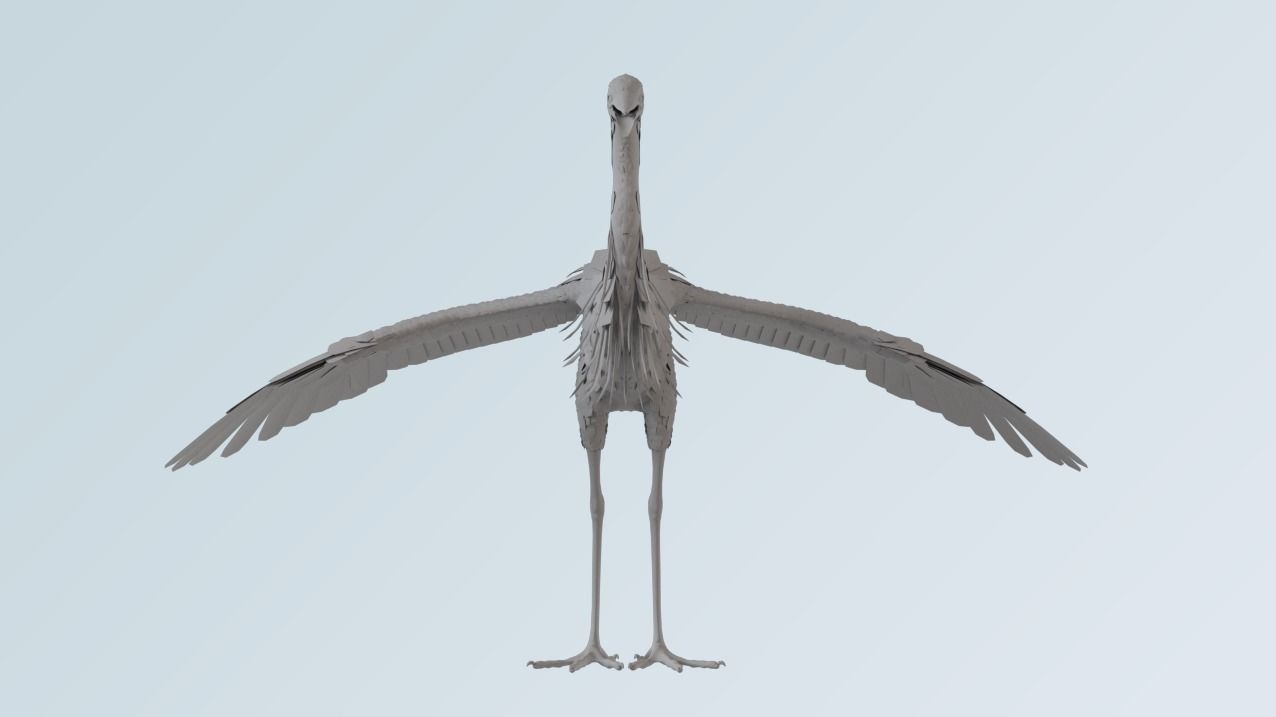 Heron 3D model_1