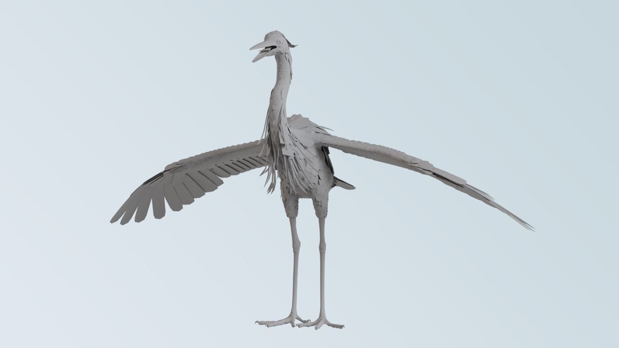Heron 3D model_3