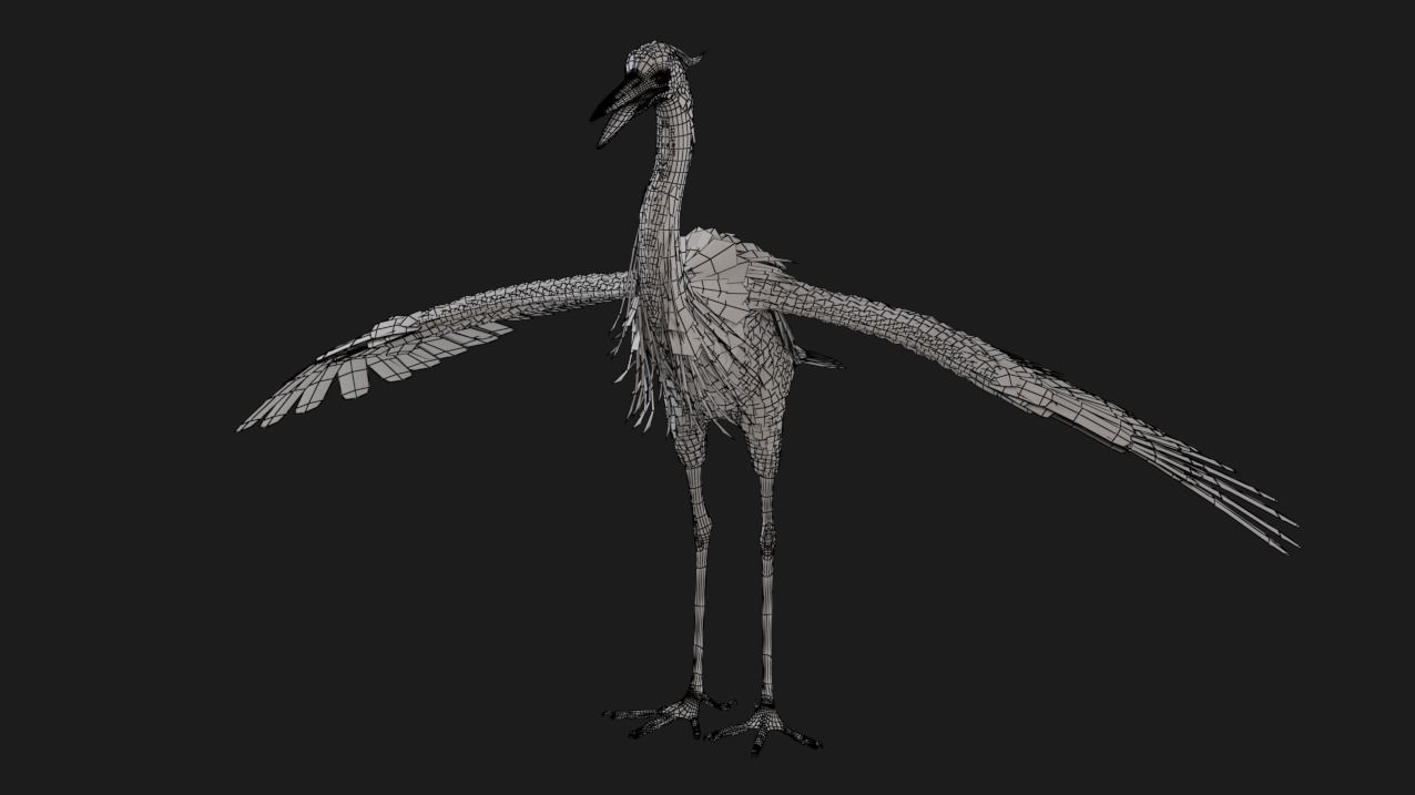 Heron 3D model_6