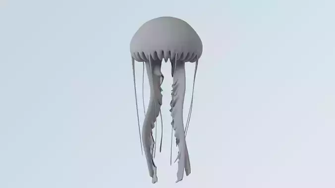 jellyfish
