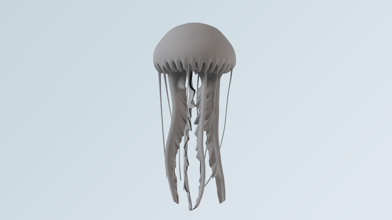 jellyfish 3D model_1