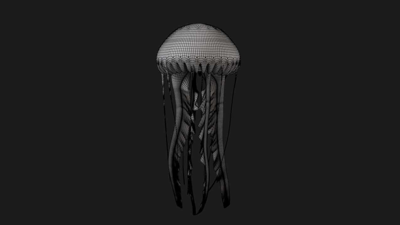 jellyfish 3D model_7