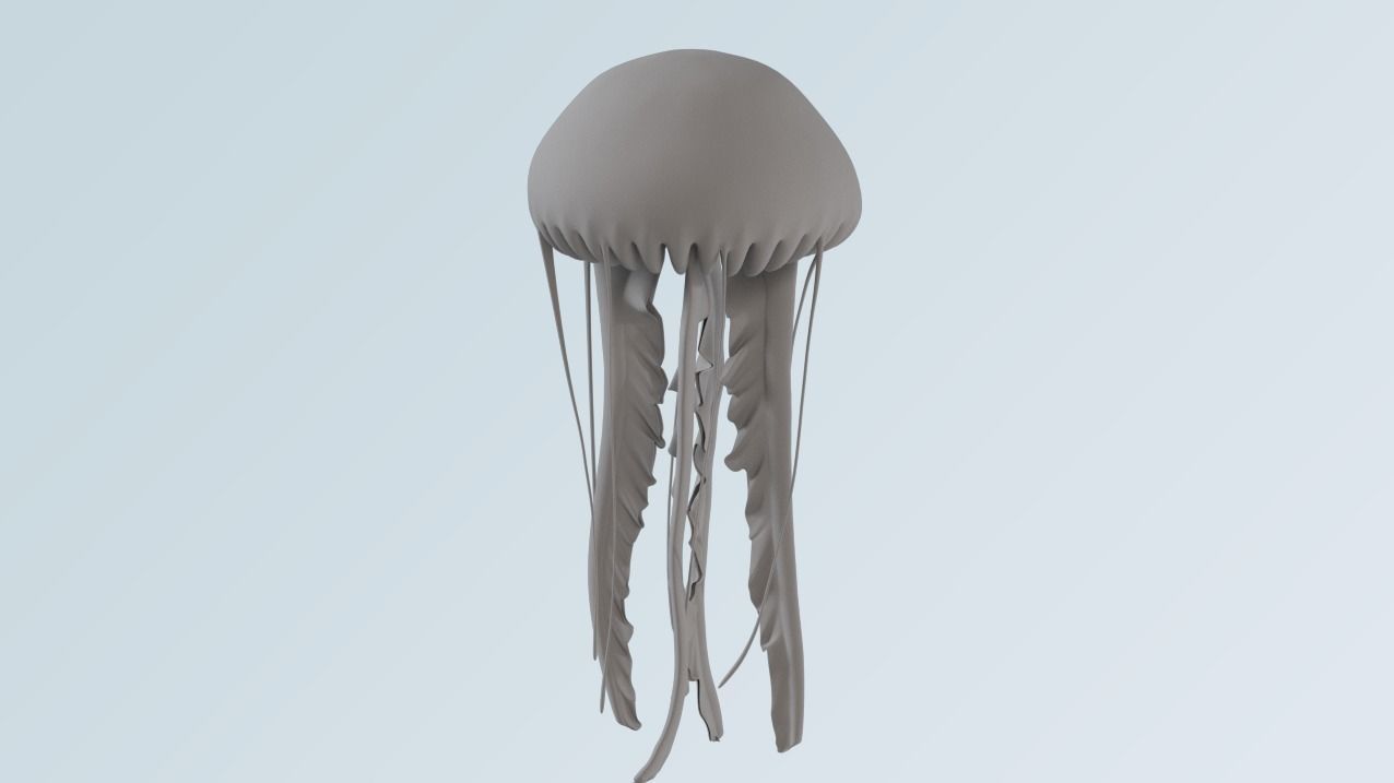 jellyfish 3D model_2