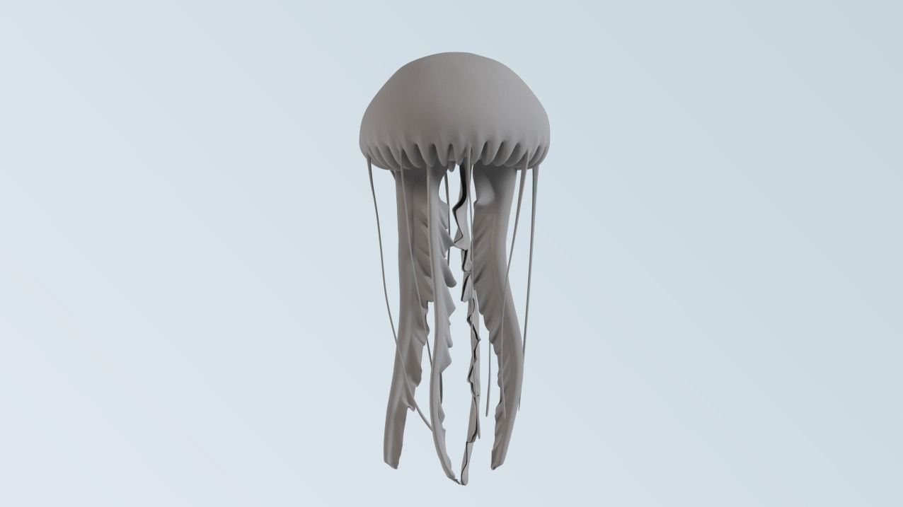jellyfish 3D model_3