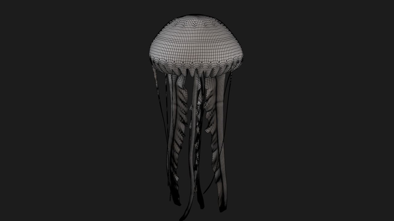 jellyfish 3D model_6