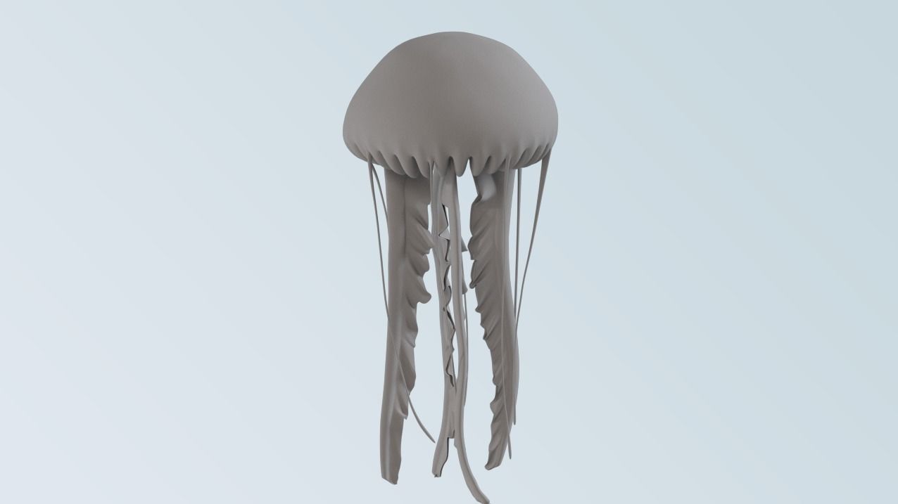 jellyfish 3D model_4