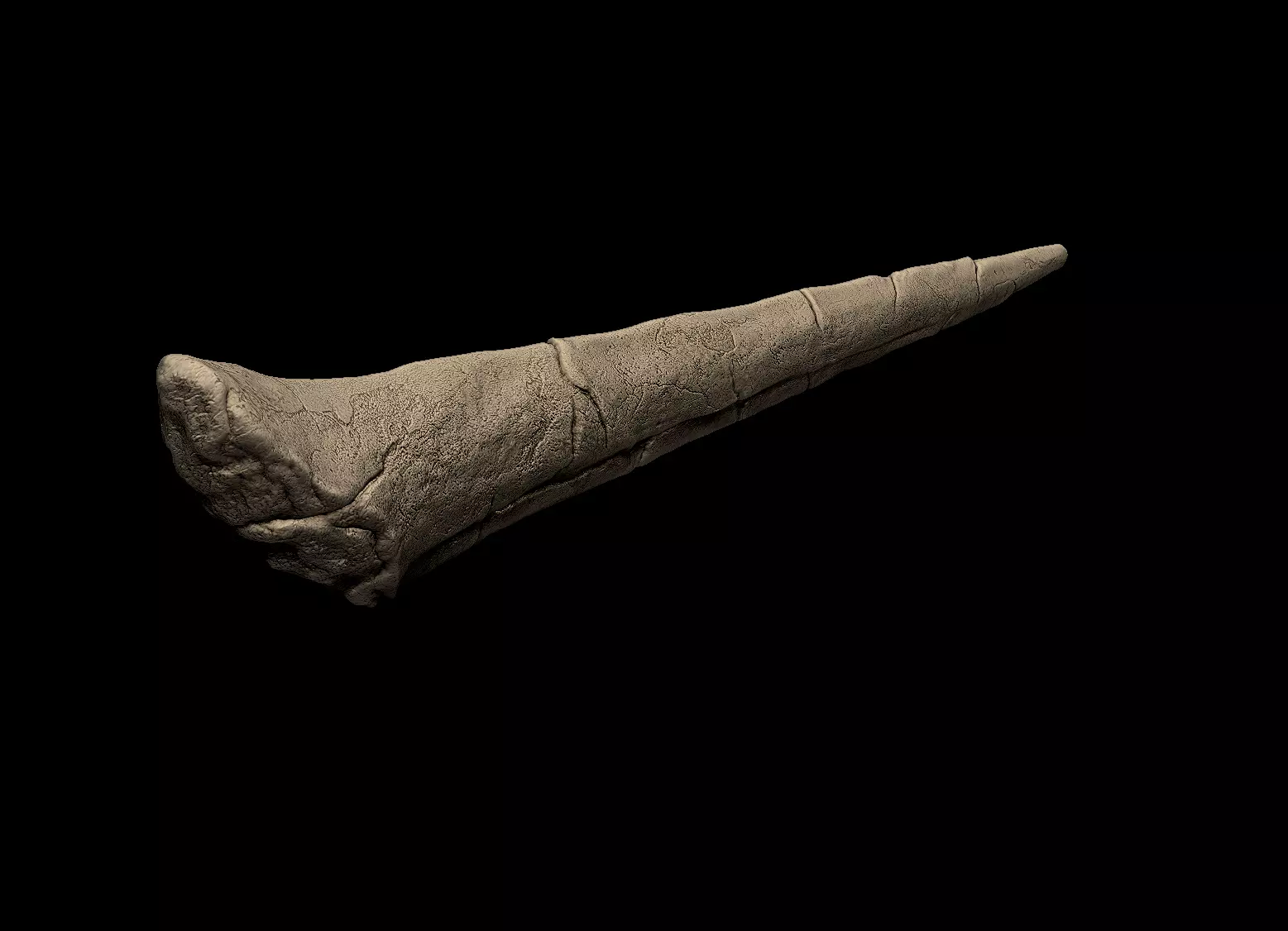 Stegosaurus Spike Thagomizer 3D print model_0