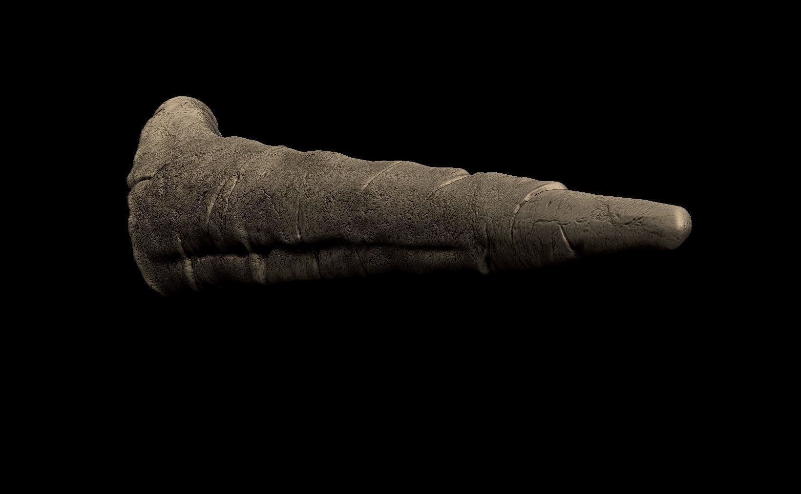 Stegosaurus Spike Thagomizer 3D print model_6