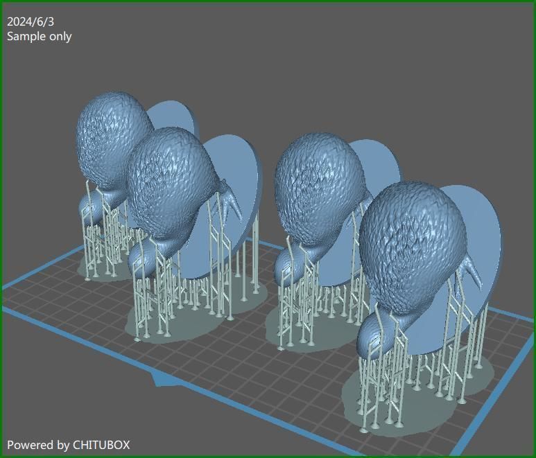Kiwi a realistic 3D model of the New Zealand endemic Kiwi bird 3D print model_8