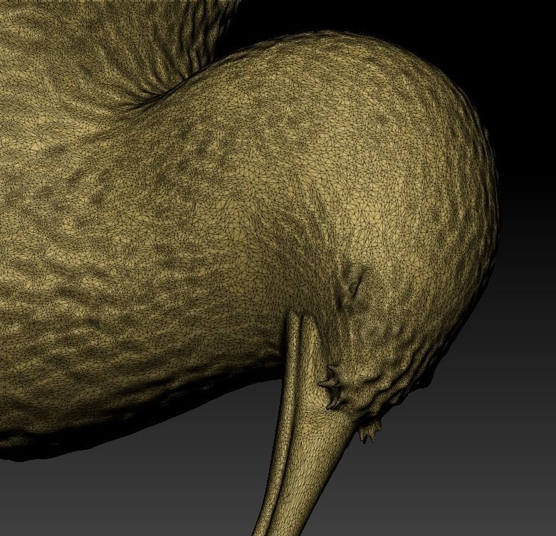 Kiwi a realistic 3D model of the New Zealand endemic Kiwi bird 3D print model_9