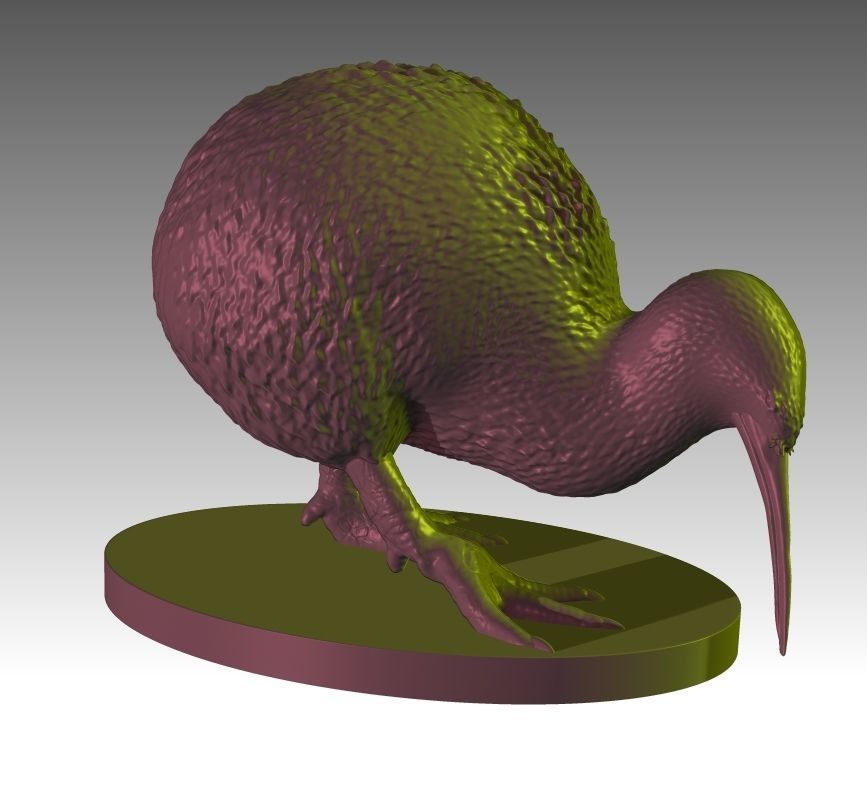 Kiwi a realistic 3D model of the New Zealand endemic Kiwi bird 3D print model_3