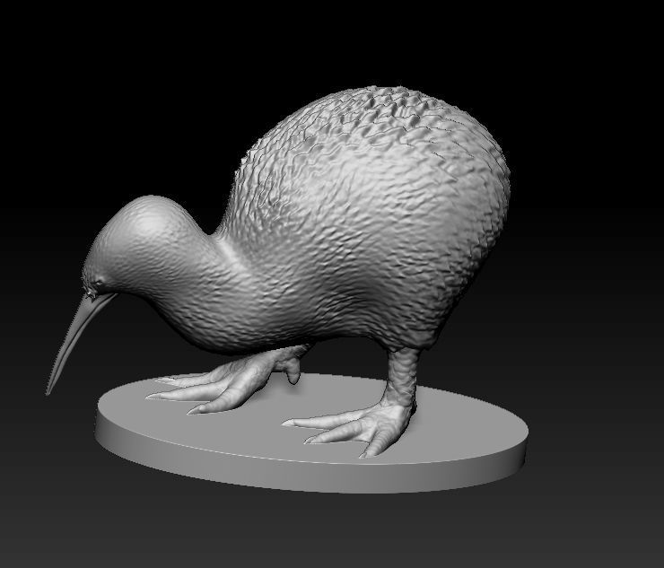 Kiwi a realistic 3D model of the New Zealand endemic Kiwi bird 3D print model_2