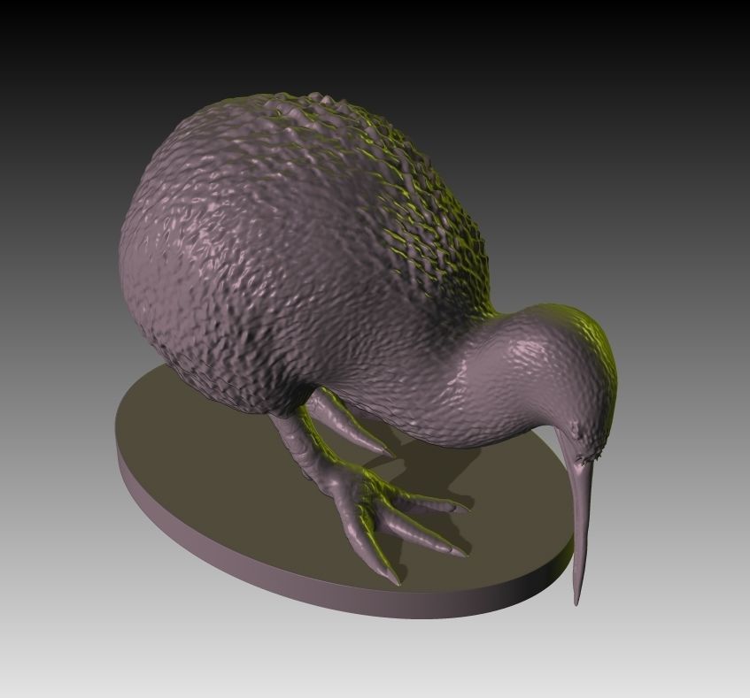 Kiwi a realistic 3D model of the New Zealand endemic Kiwi bird 3D print model_7