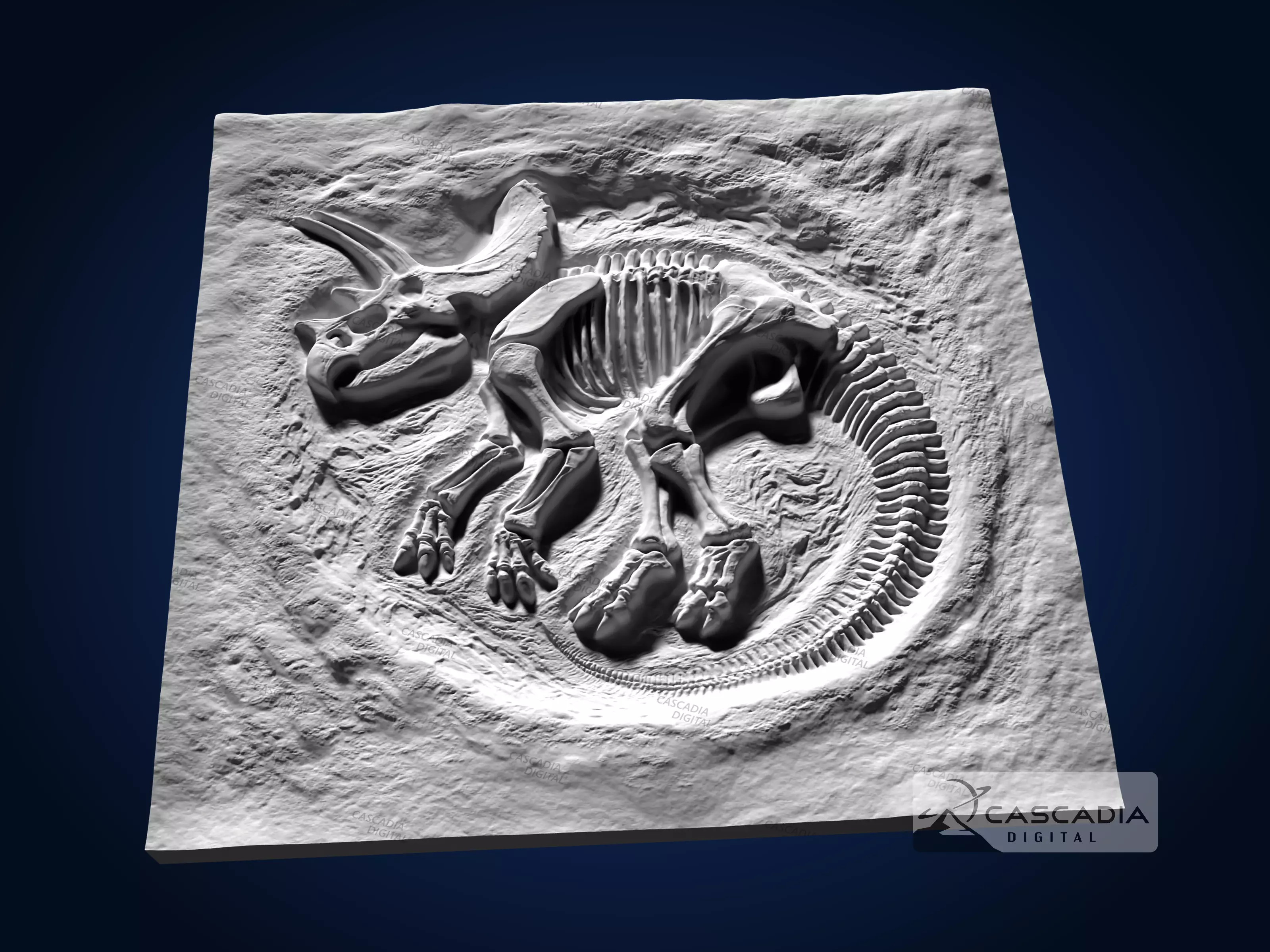 Triceratops Fossil Full - CNC Router Carving Casting dino 3D print model_2