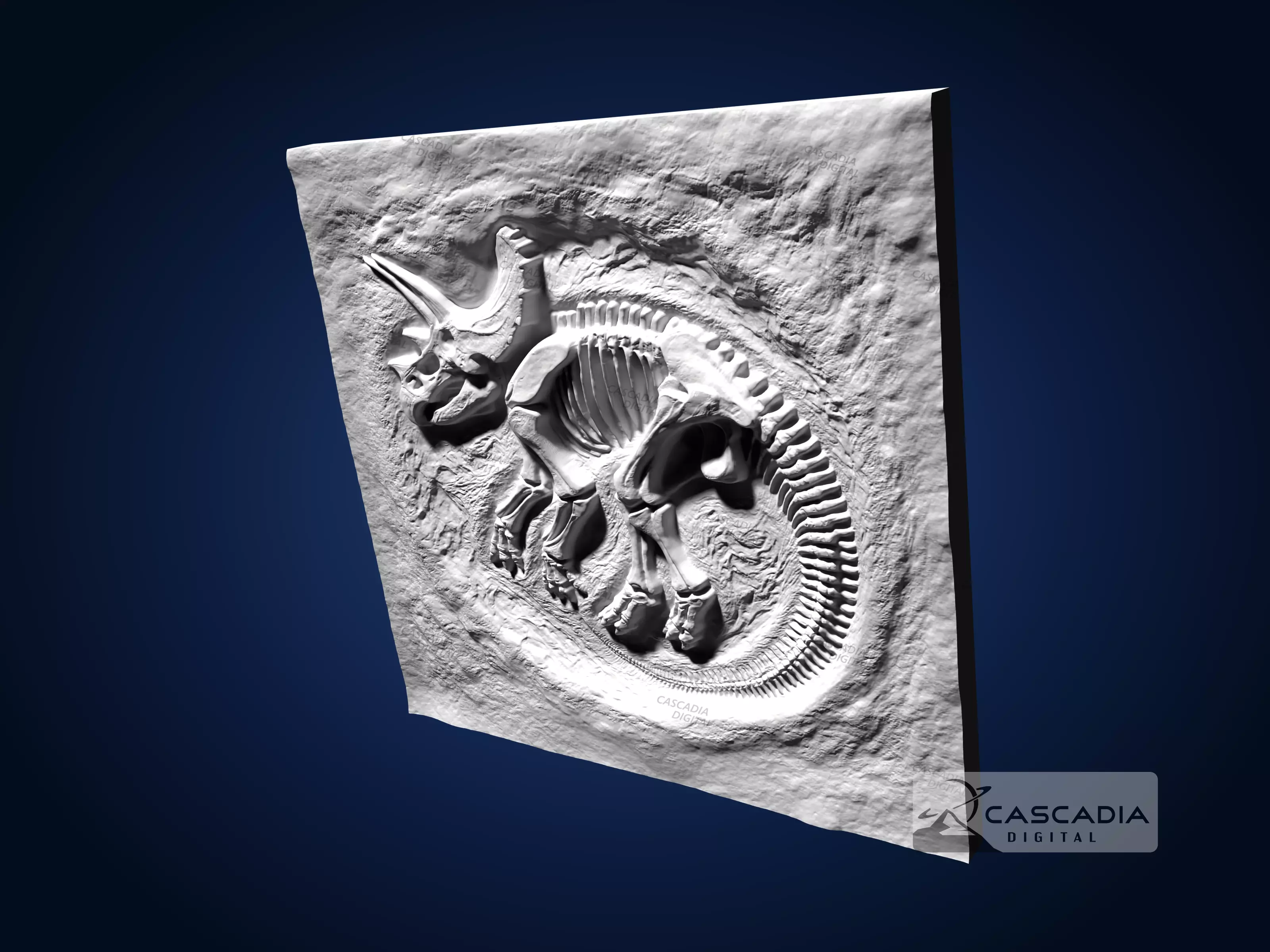 Triceratops Fossil Full - CNC Router Carving Casting dino 3D print model_4