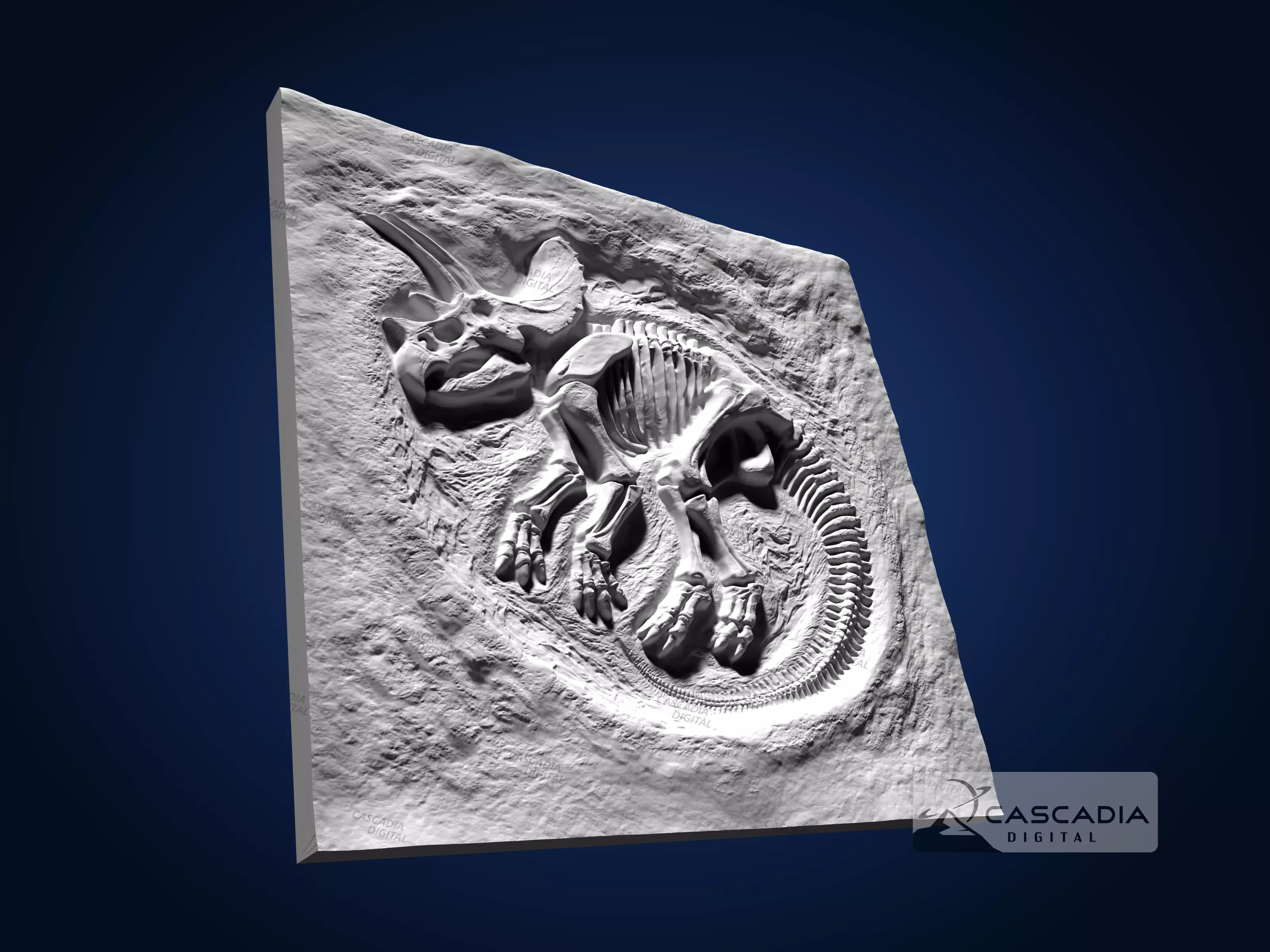 Triceratops Fossil Full - CNC Router Carving Casting dino 3D print model_3