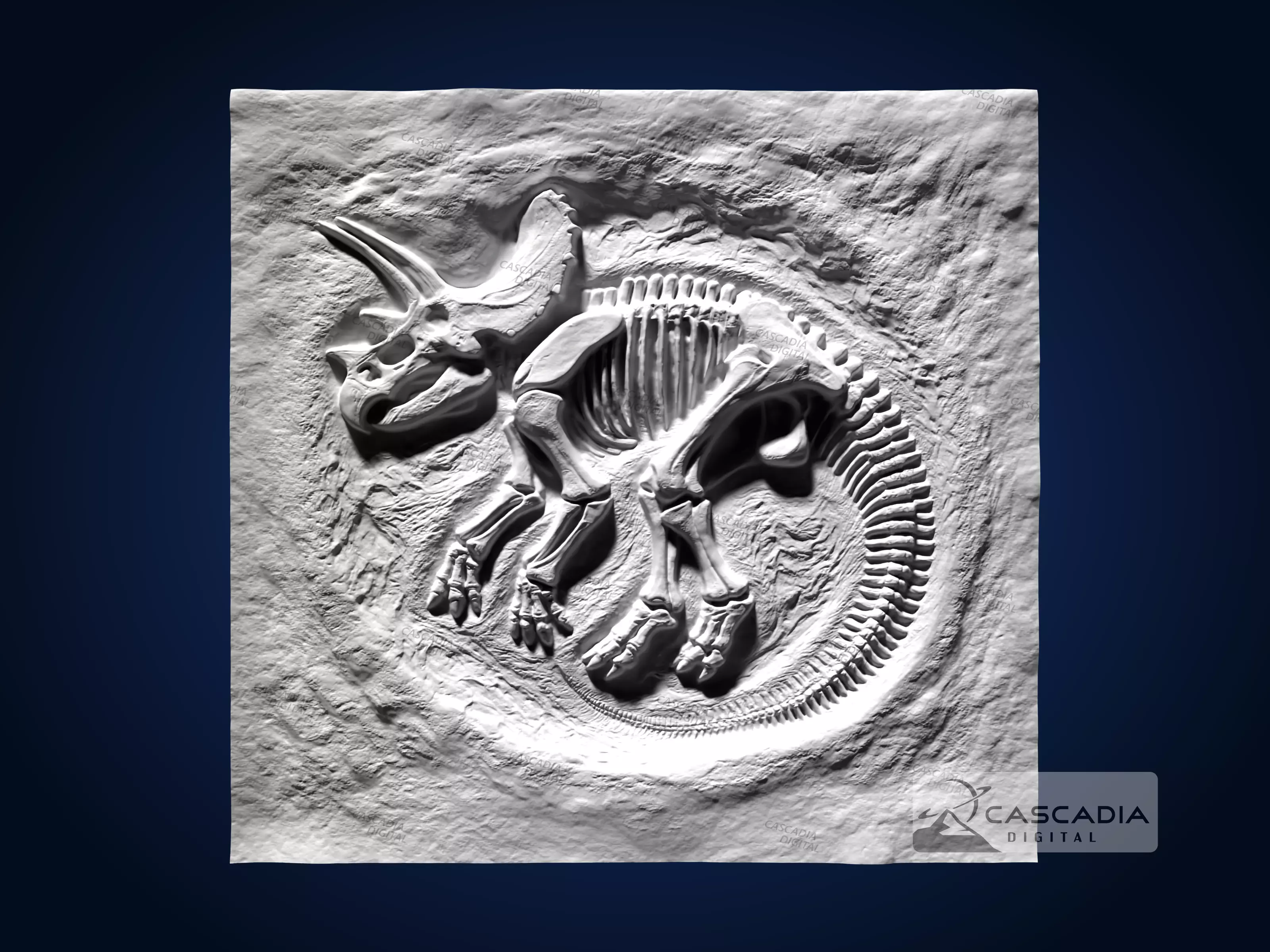 Triceratops Fossil Full - CNC Router Carving Casting dino 3D print model_1