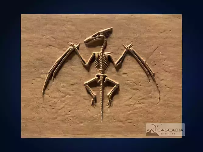 Fossil Full Pterodactyl  - CNC Router Carving Casting dino