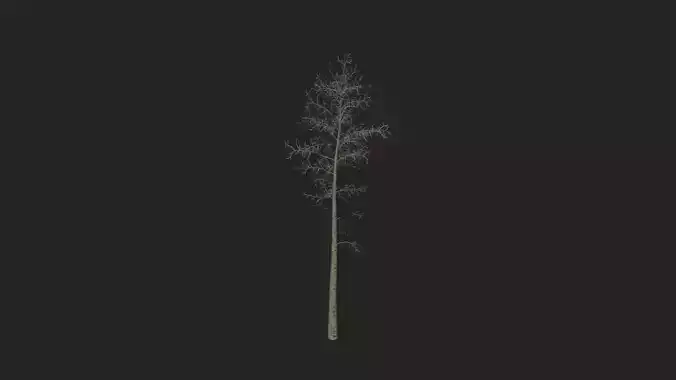 Tree 3D Model 004