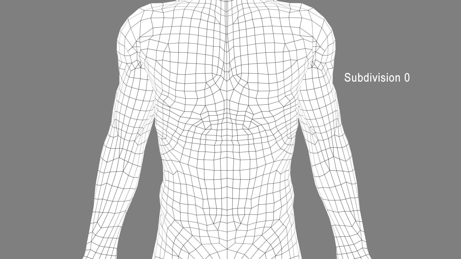 Human Cardiovascular System 3D model_8