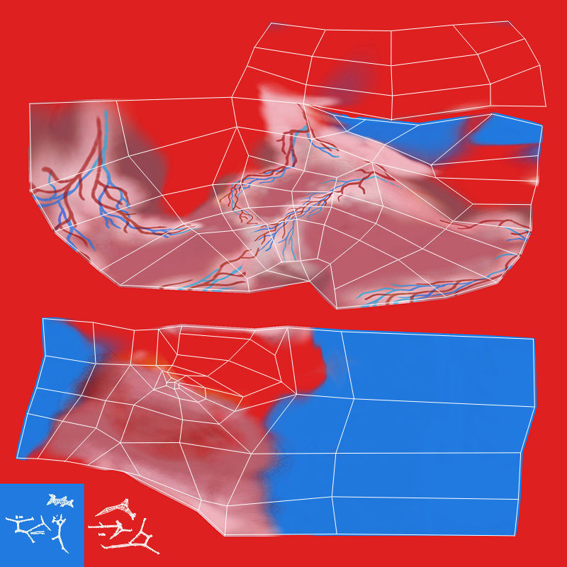 Human Cardiovascular System 3D model_9