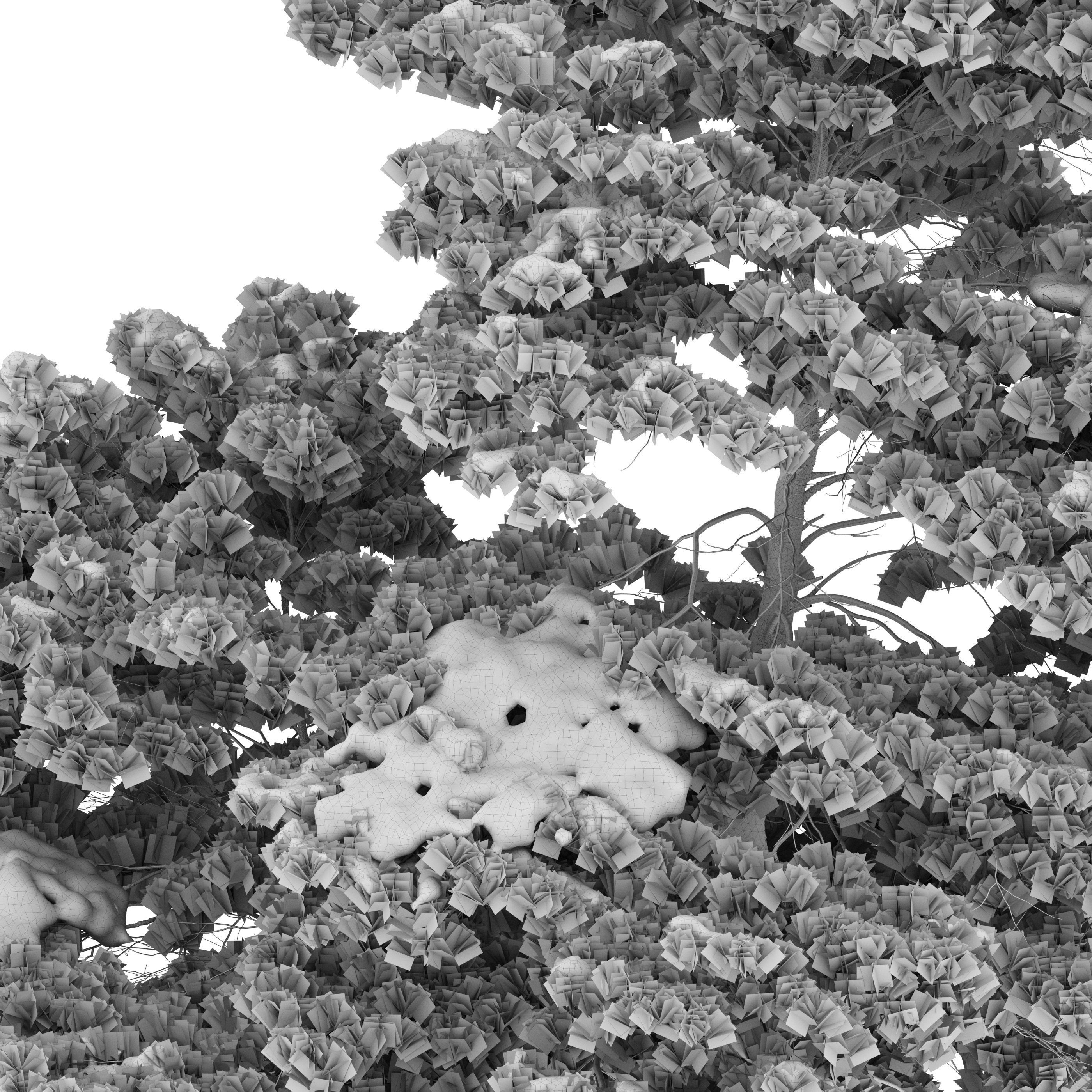 Winter pinus sylvestris 3D model_4