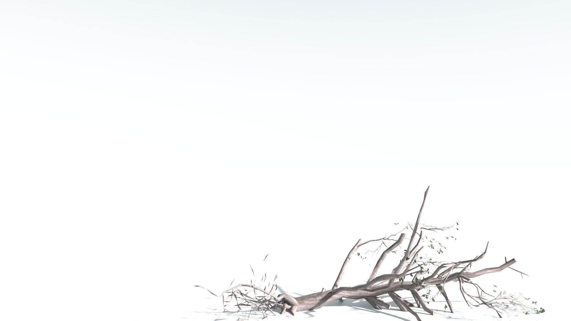 EVERYPlant Portia Tree LowPoly 1 --14 Models-- Low-poly 3D model_19