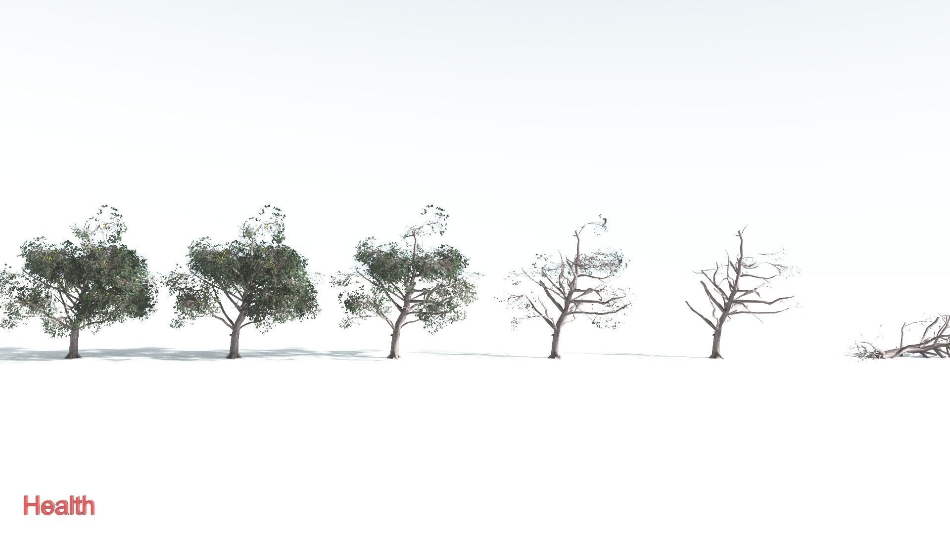 EVERYPlant Portia Tree LowPoly 1 --14 Models-- Low-poly 3D model_2