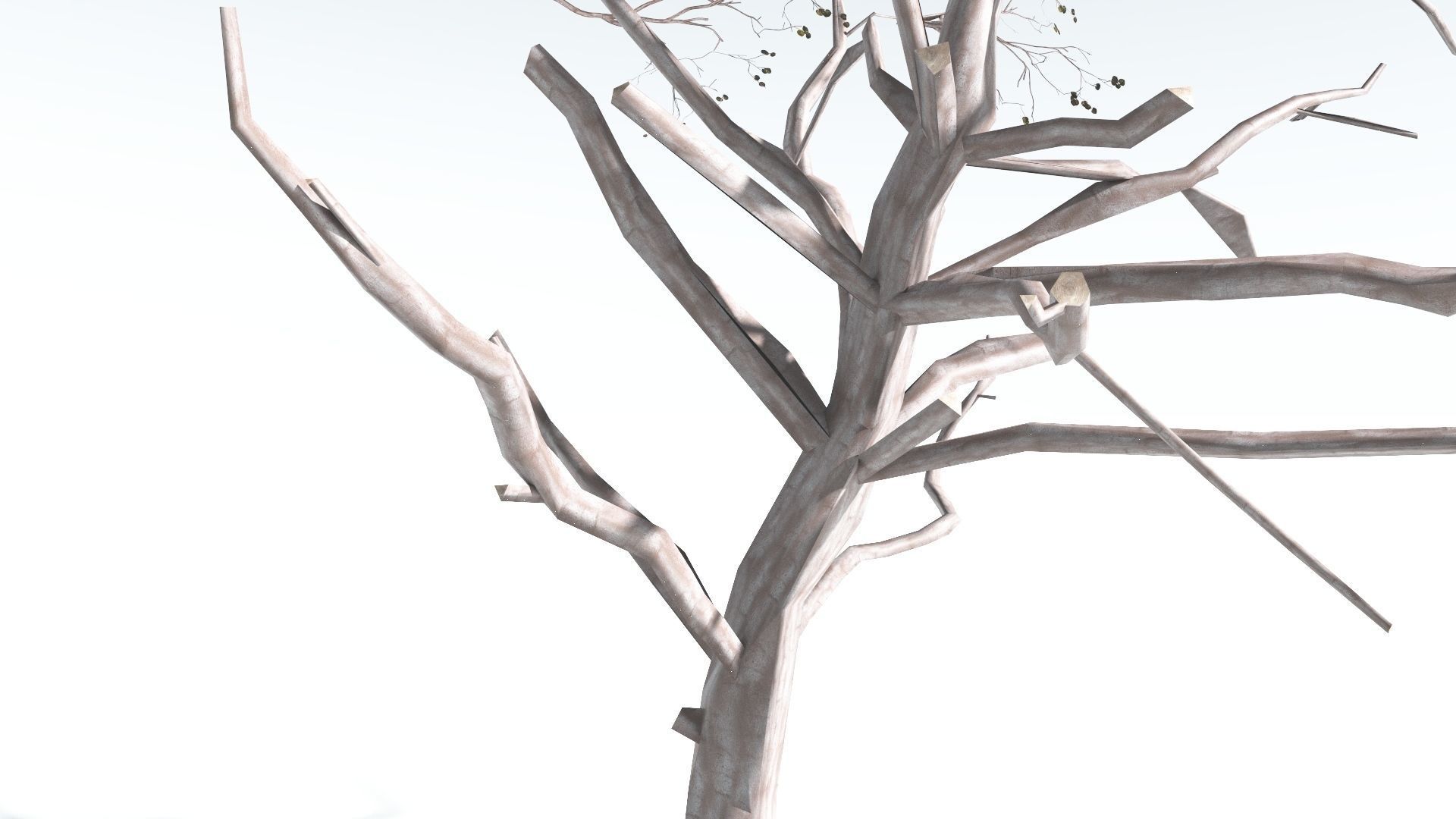 EVERYPlant Portia Tree LowPoly 1 --14 Models-- Low-poly 3D model_18