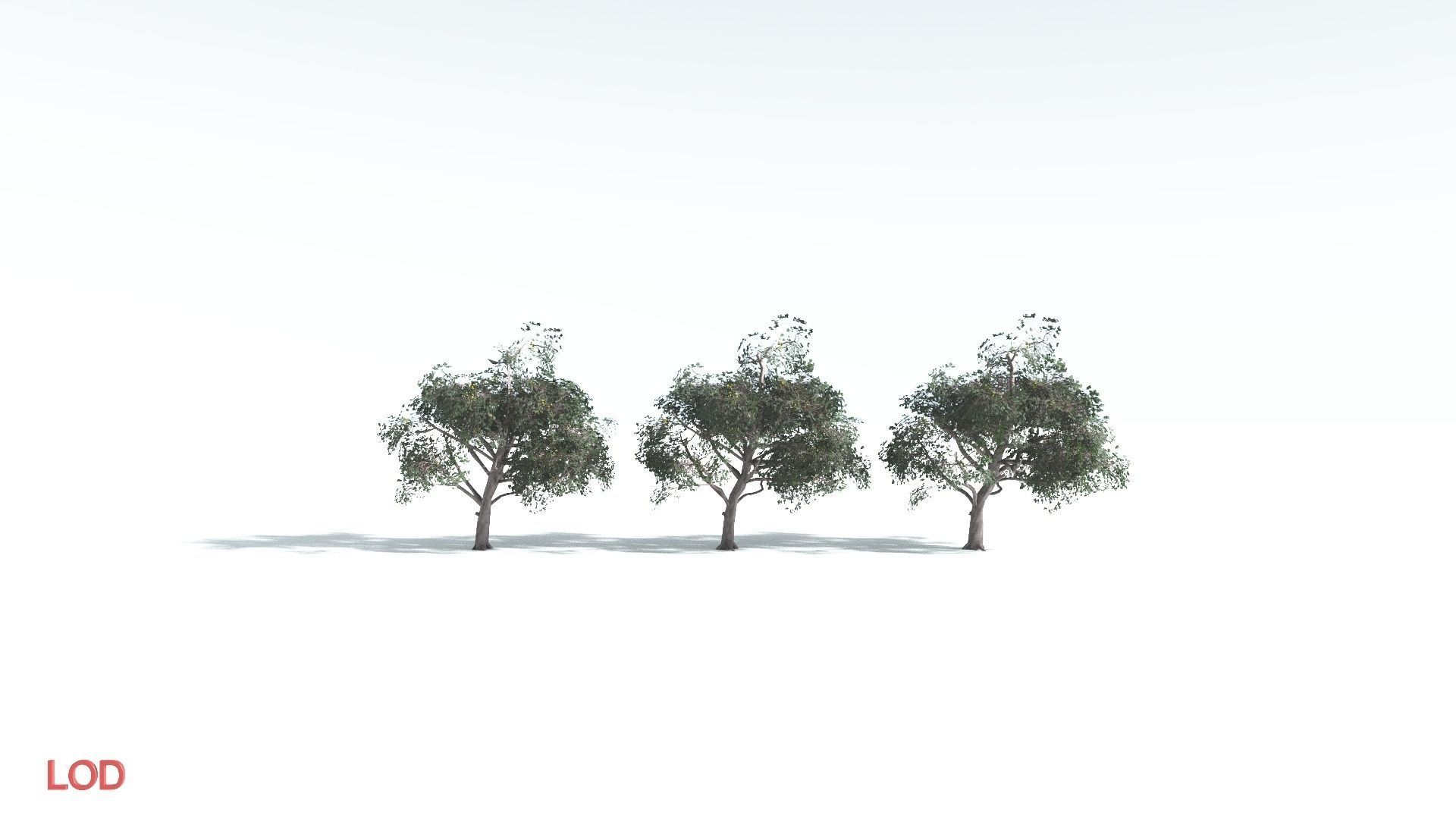 EVERYPlant Portia Tree LowPoly 1 --14 Models-- Low-poly 3D model_4