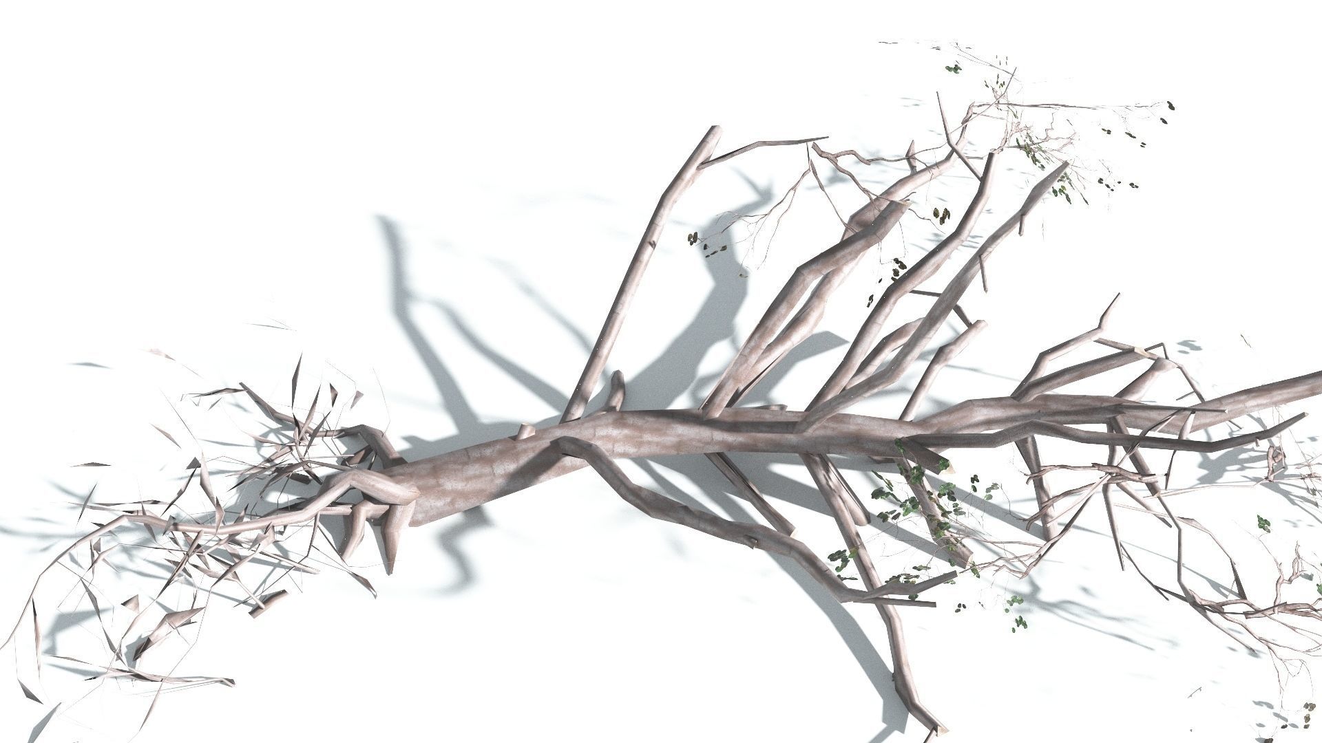 EVERYPlant Portia Tree LowPoly 1 --14 Models-- Low-poly 3D model_20