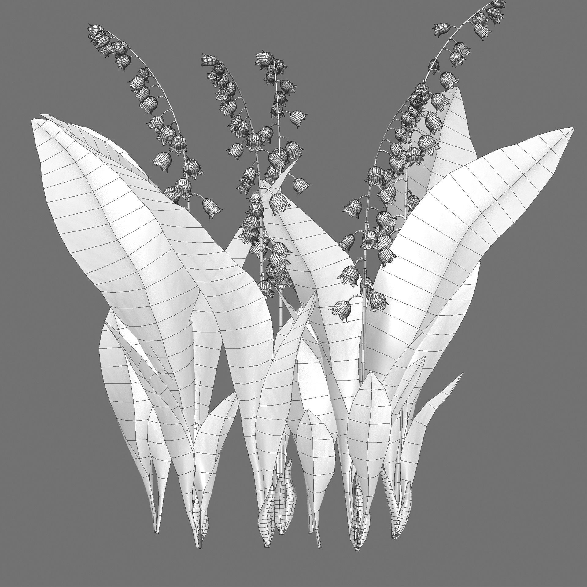 Convallaria majalis - Lily of the Valley Low-poly 3D model_4