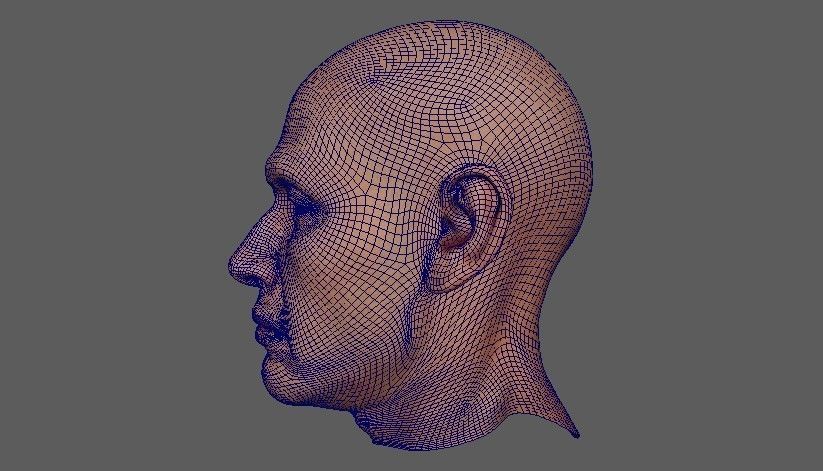 Man face Realistic Pbr model Free low-poly 3D model_8