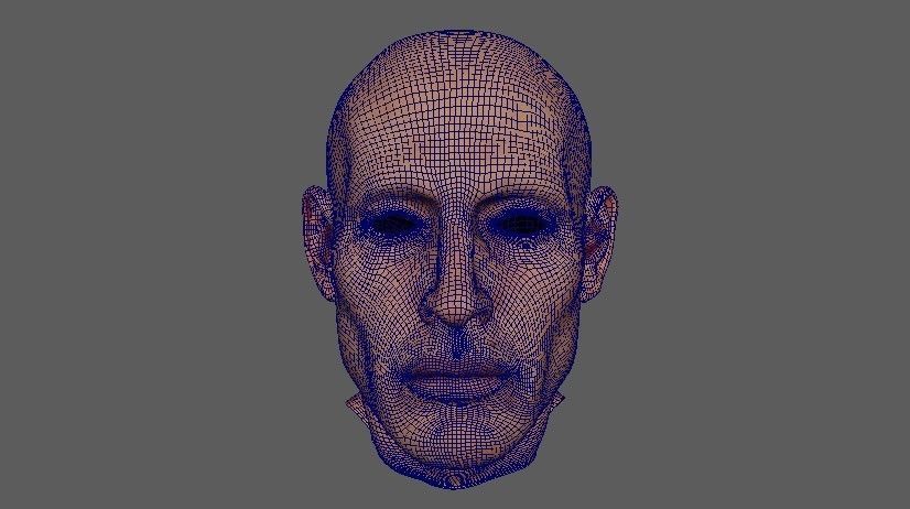 Man face Realistic Pbr model Free low-poly 3D model_7
