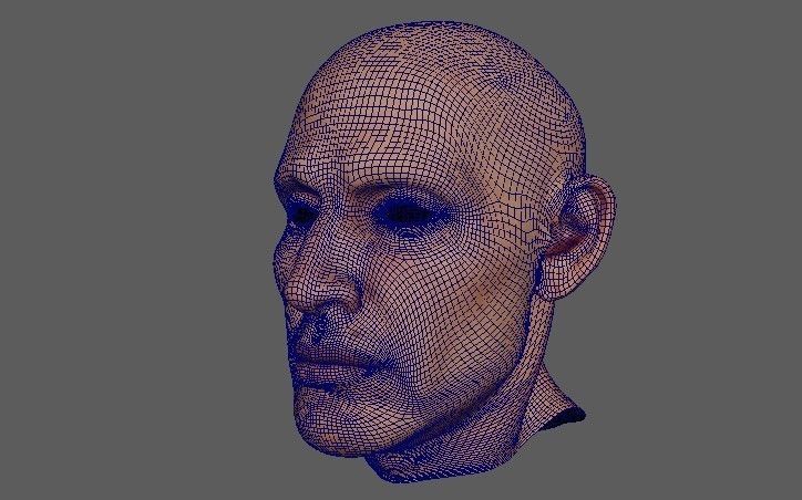 Man face Realistic Pbr model Free low-poly 3D model_6