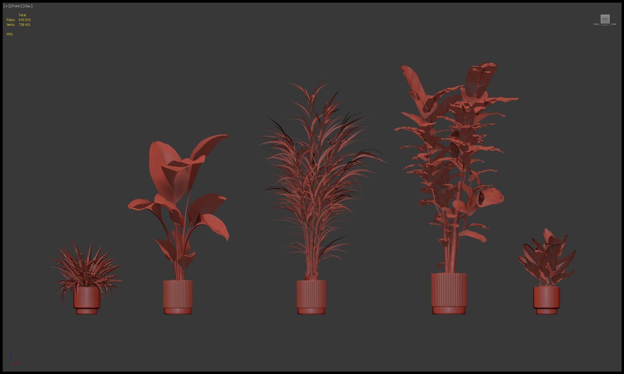 Plants collection 204 - palm strelitzia fern ficus croton 3D model_22