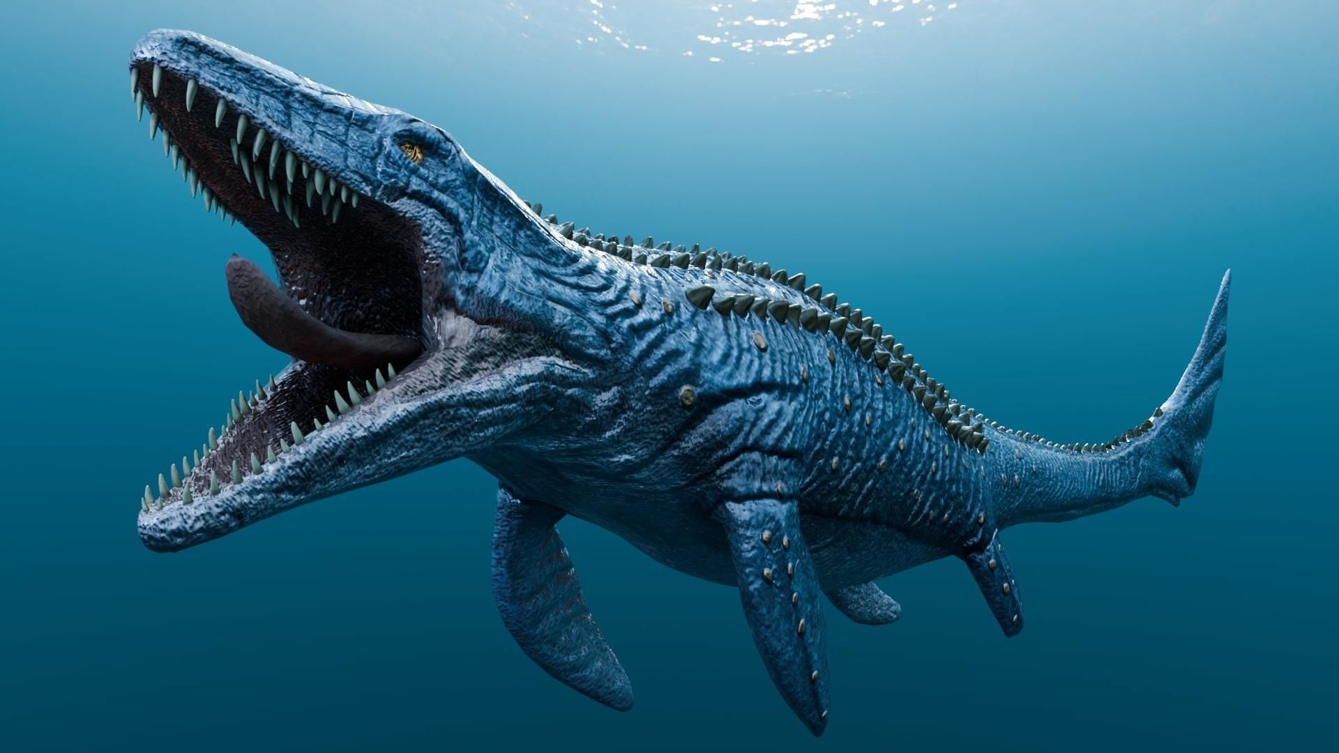 Low poly Realistic Dinosaur - Mosasaur Low-poly 3D model_2