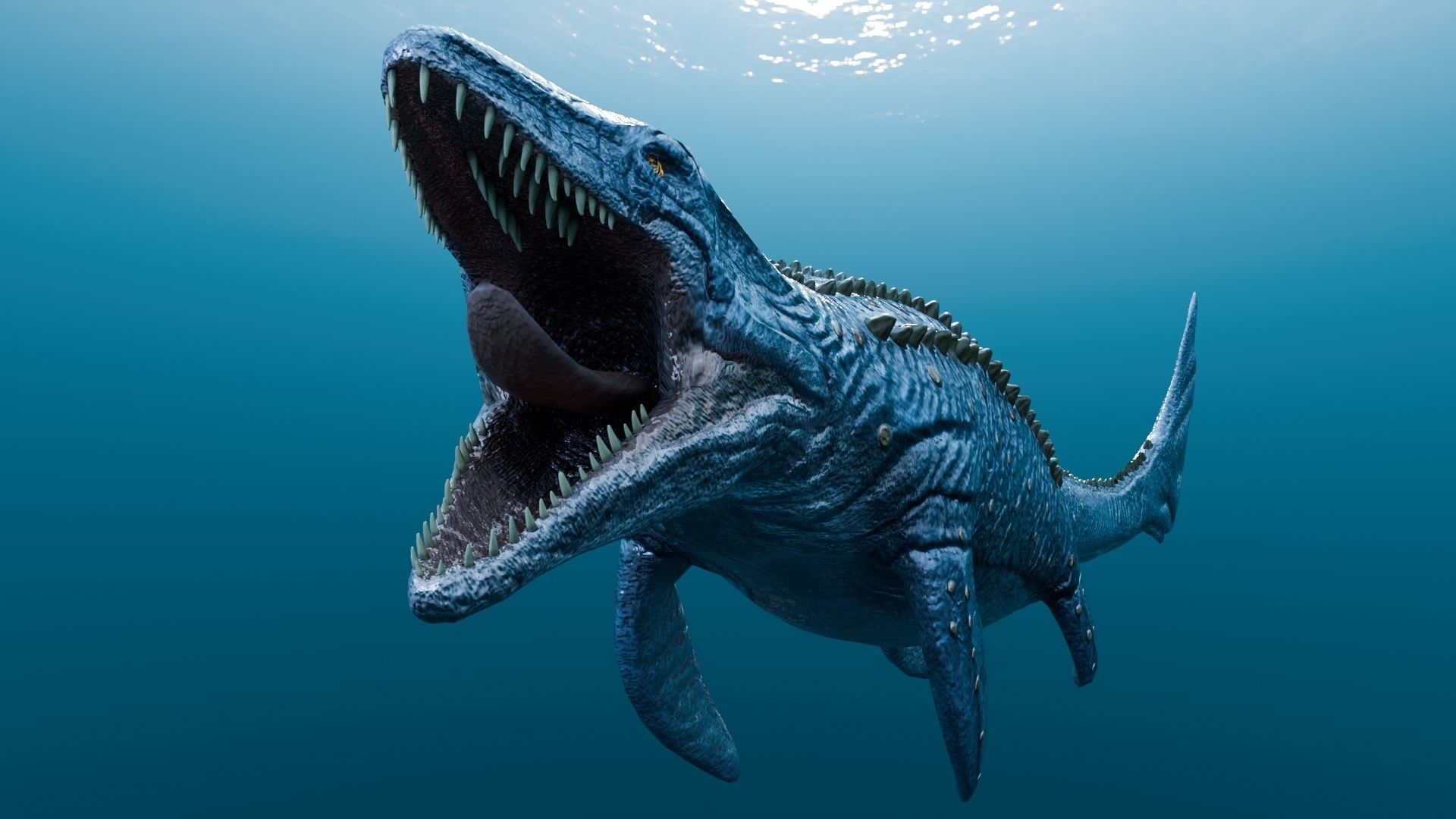 Low poly Realistic Dinosaur - Mosasaur Low-poly 3D model_19