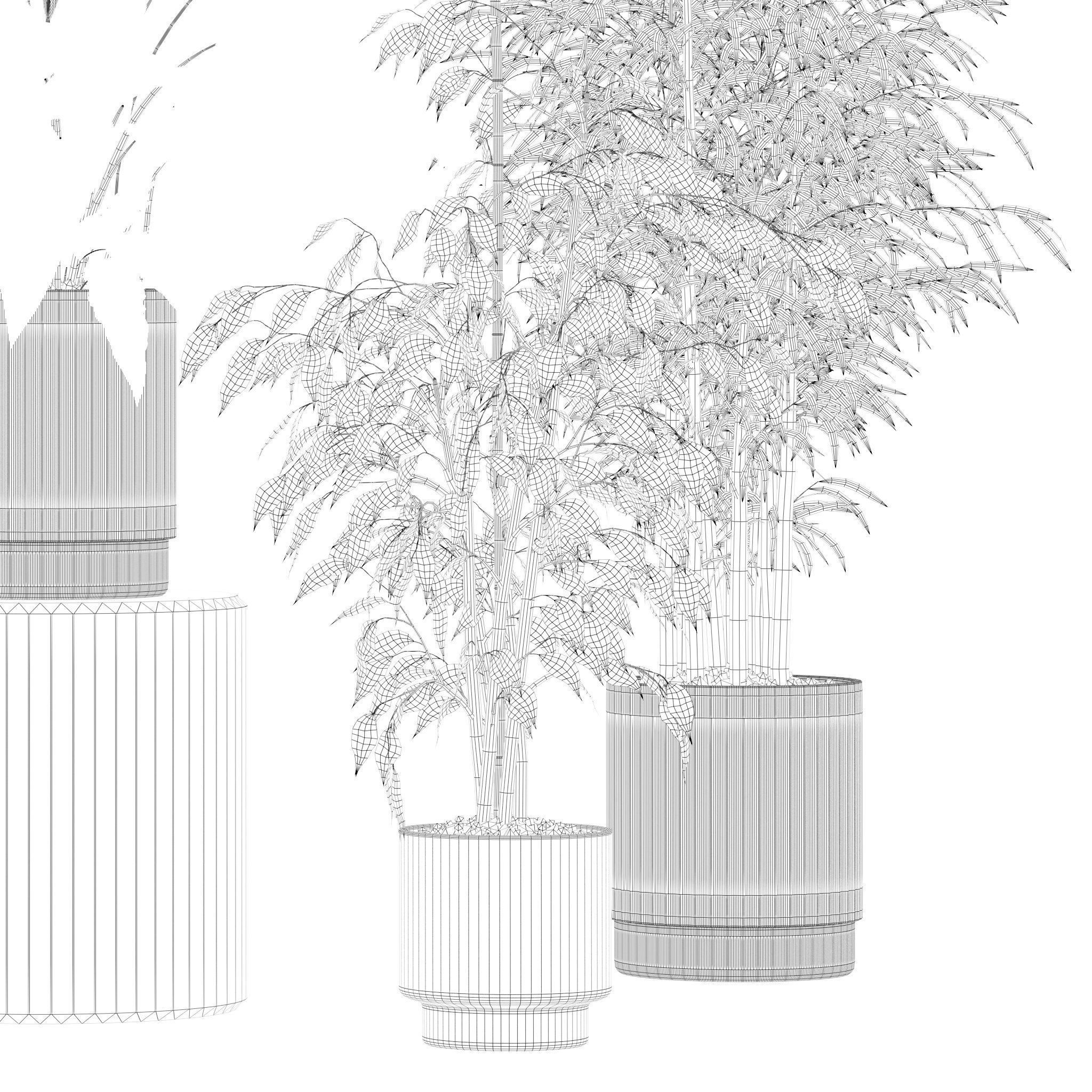 Plants collection 205 - areca palm ficus benjamina cactus bamboo 3D model_16
