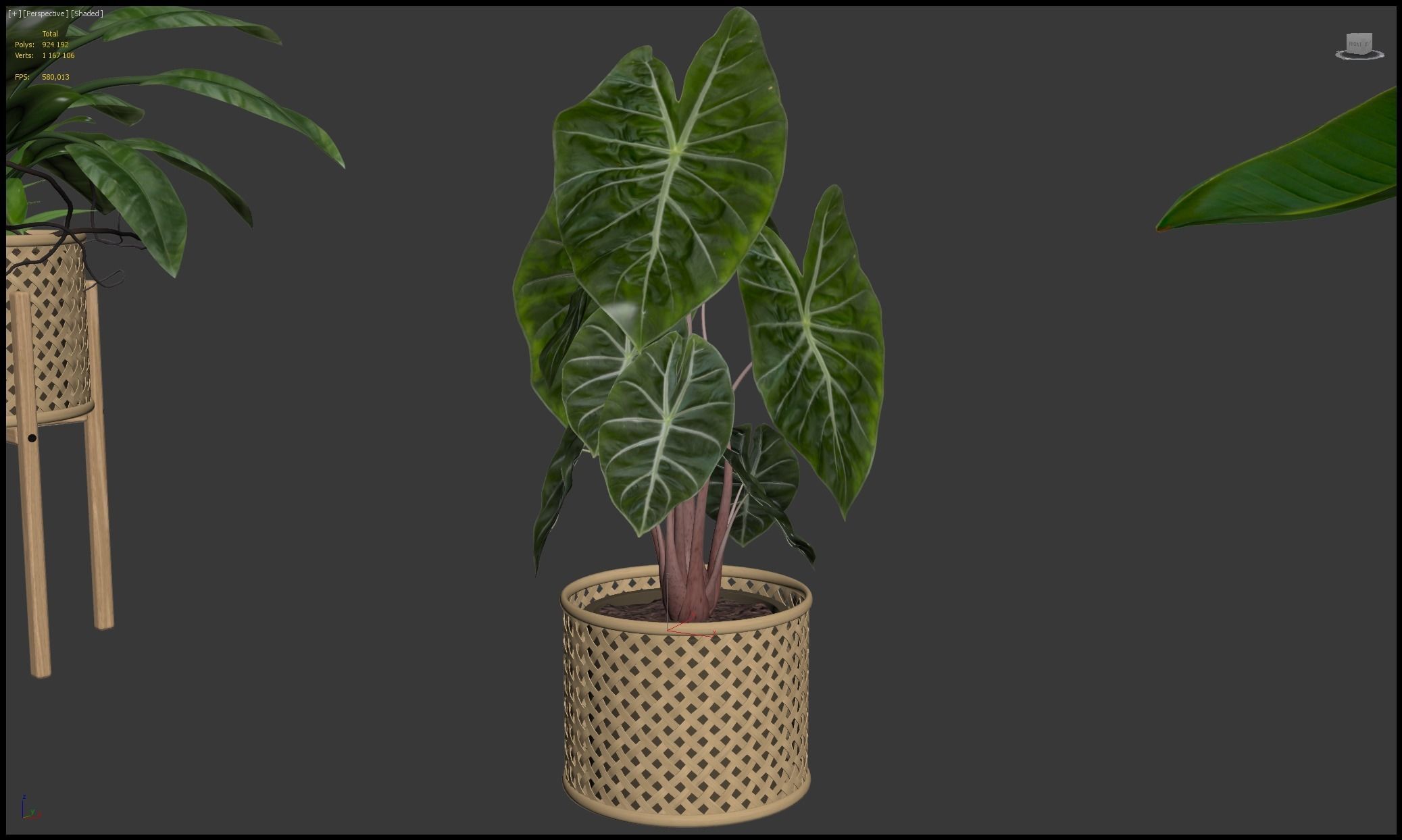 Plants collection 206 - alocasia strelitzia cactus  philodendron 3D model_18