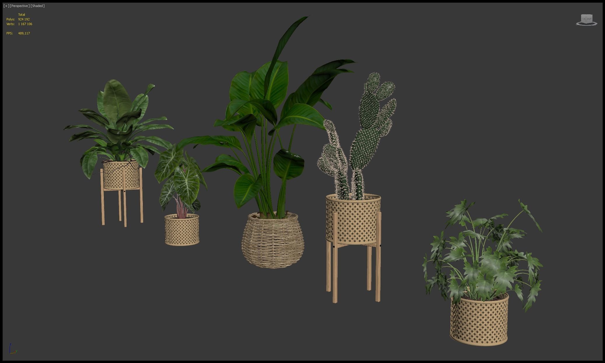 Plants collection 206 - alocasia strelitzia cactus  philodendron 3D model_16