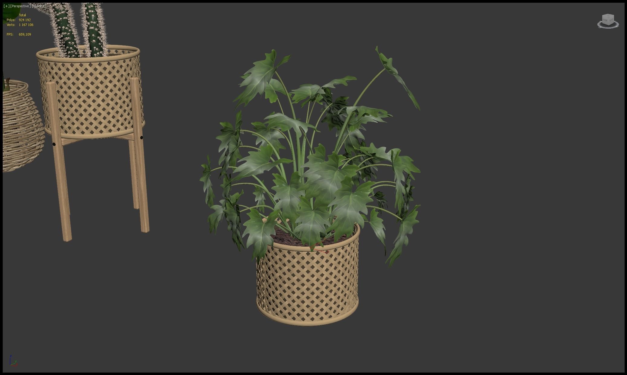 Plants collection 206 - alocasia strelitzia cactus  philodendron 3D model_17