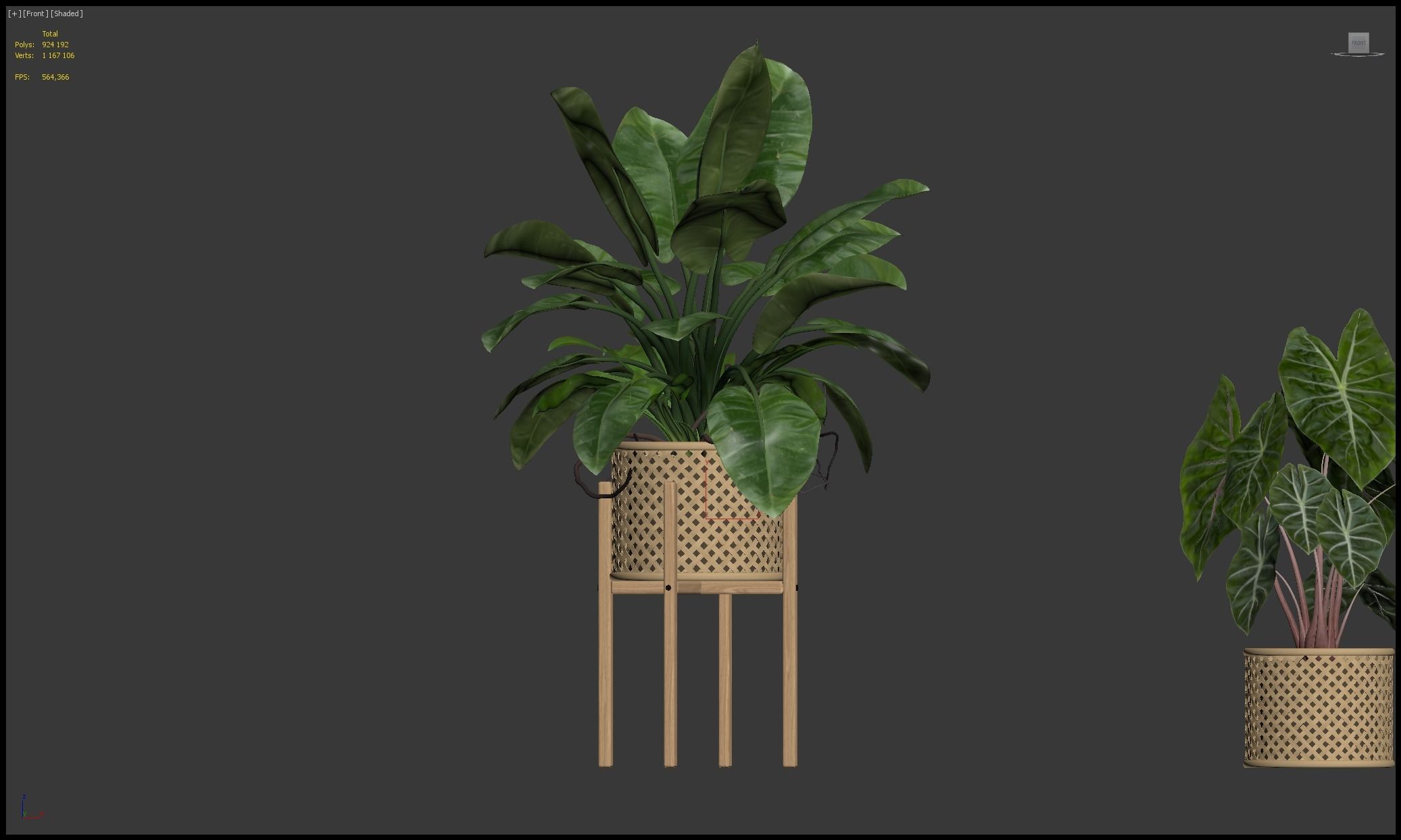 Plants collection 206 - alocasia strelitzia cactus  philodendron 3D model_14