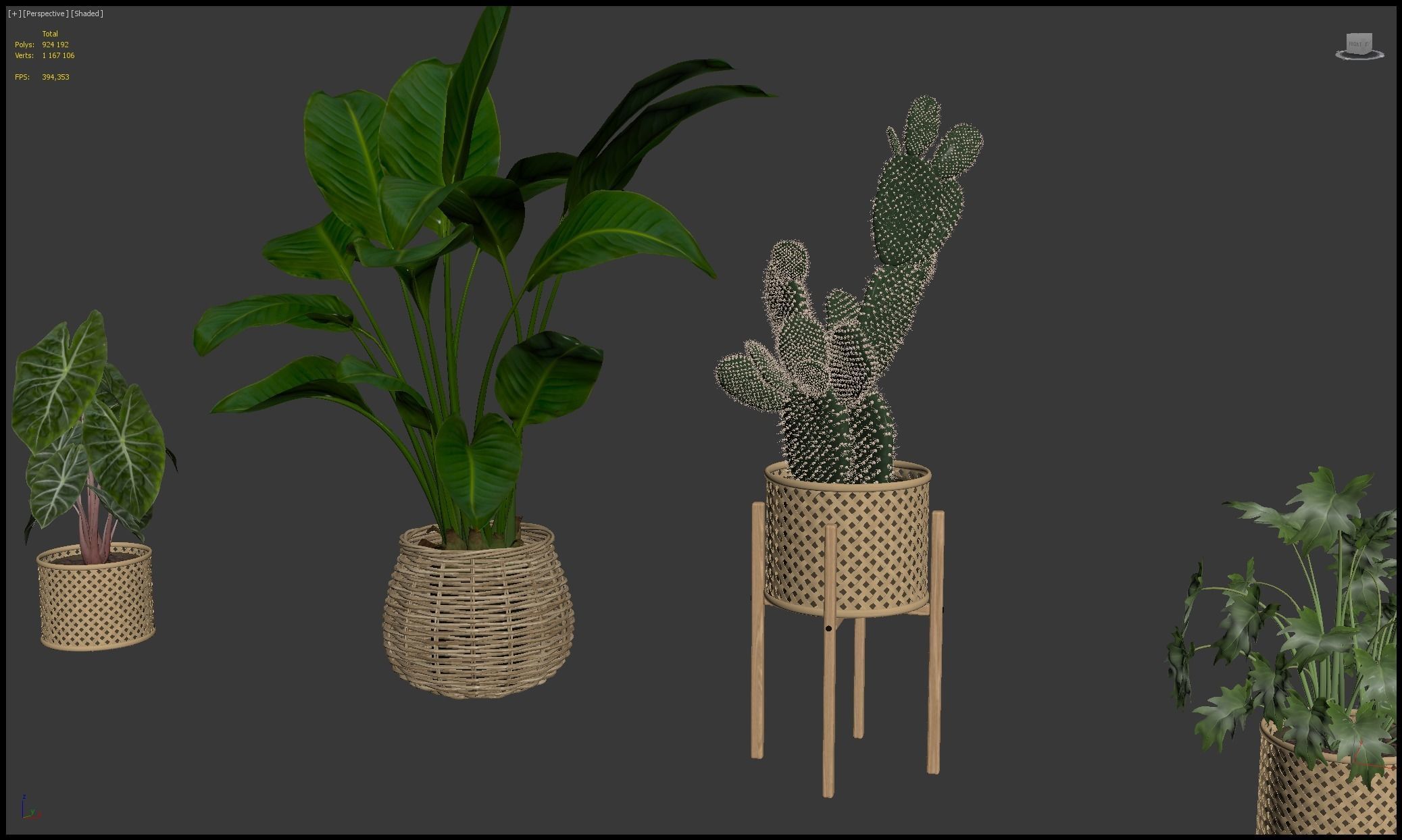 Plants collection 206 - alocasia strelitzia cactus  philodendron 3D model_19